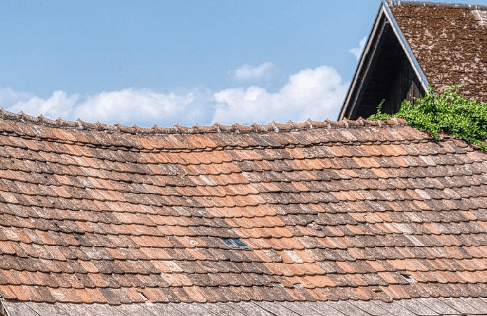 10 Signs you probably need a new roof Moriarty's Roofing
